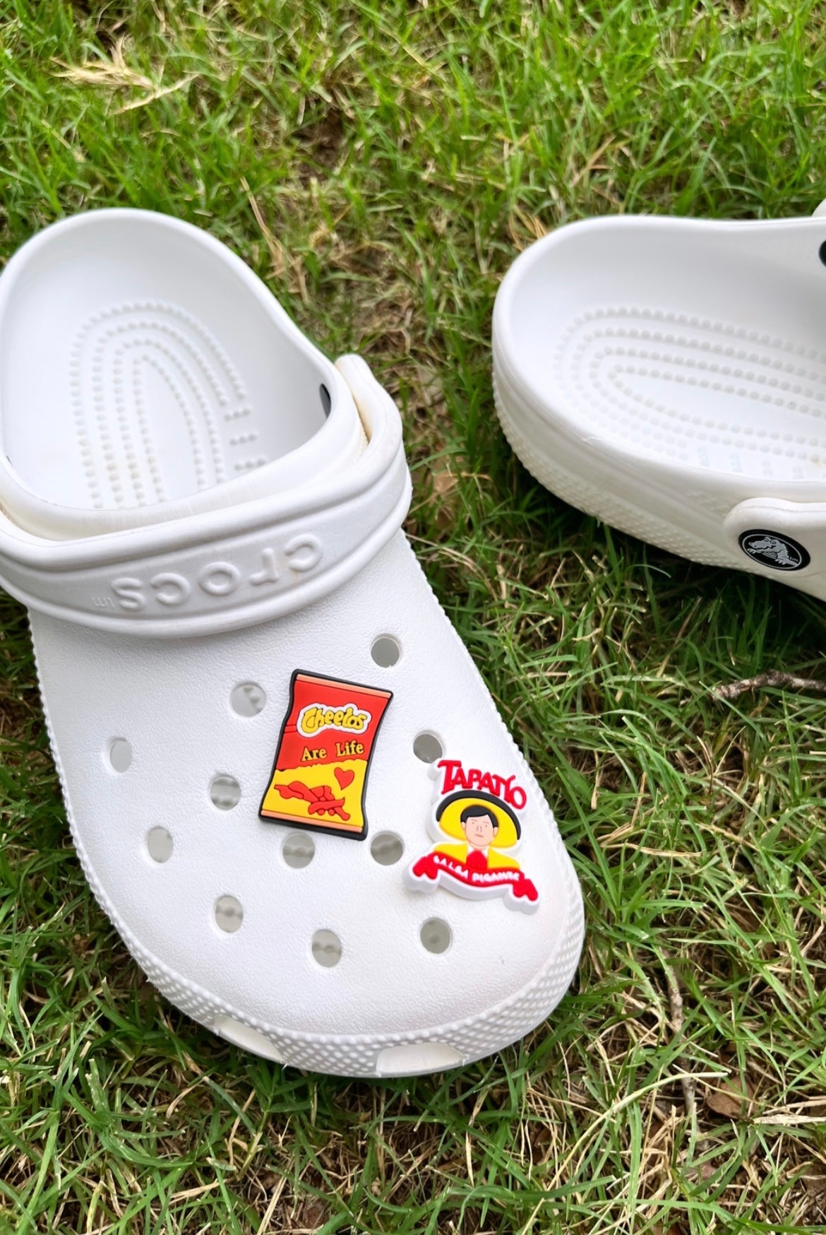 Croc Charms