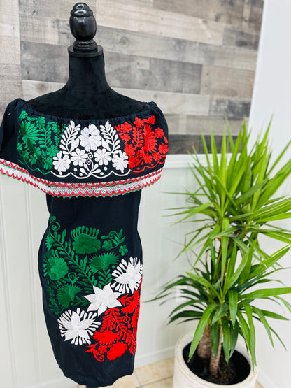 Tricolor Mexican Dress